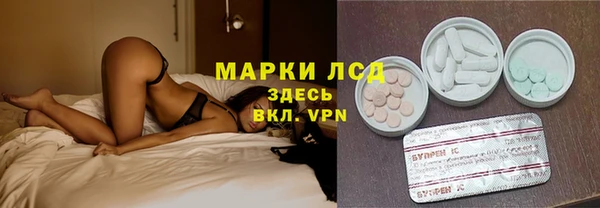 мяу мяу мука Магадан