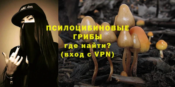 соль ск Лиски